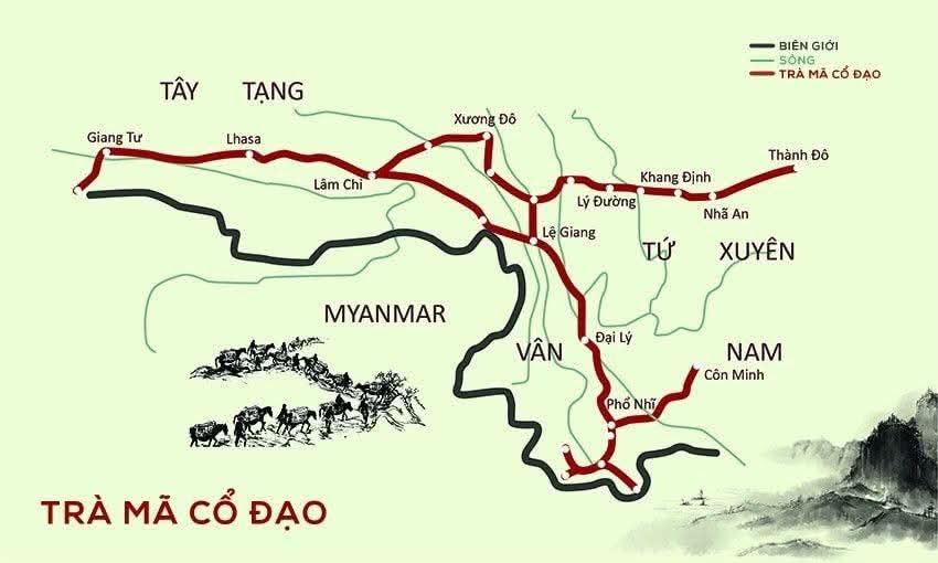 Trà Mã cổ đạo